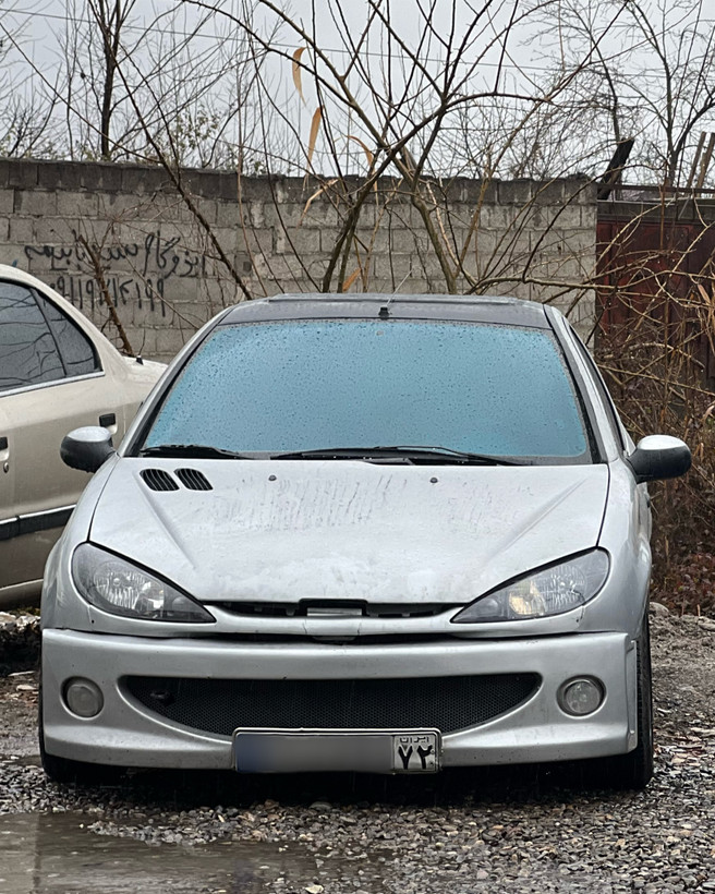 سپرجلو WRC مناسب ۲۰۶