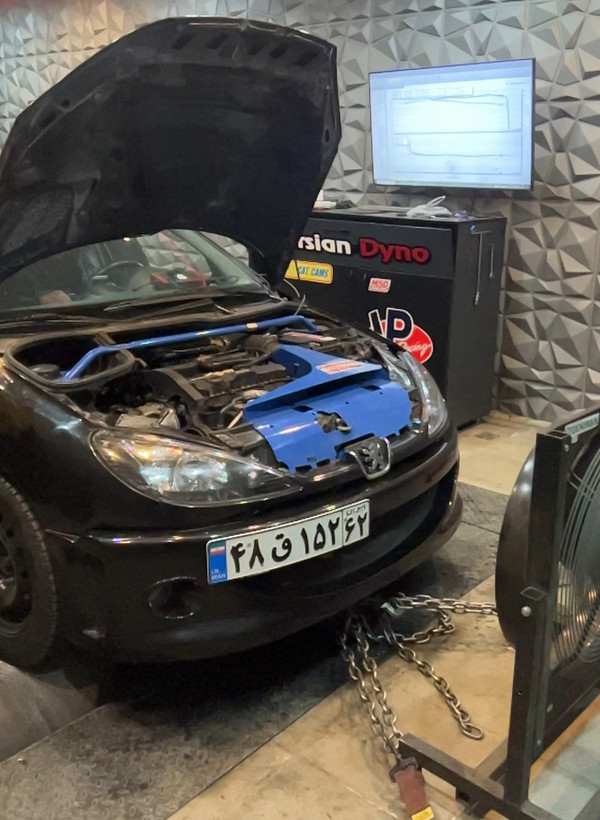سپرجلو WRC مناسب ۲۰۶