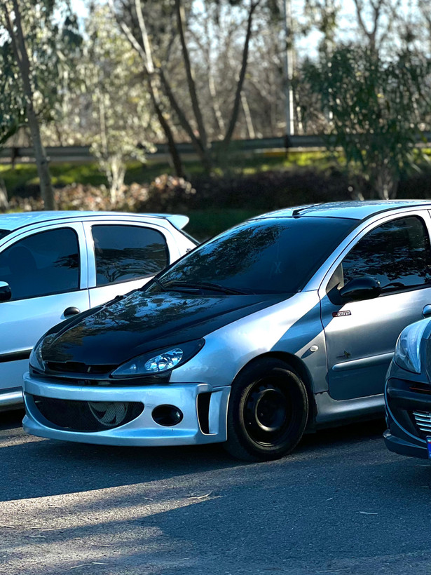 سپرجلو WRC مناسب ۲۰۶